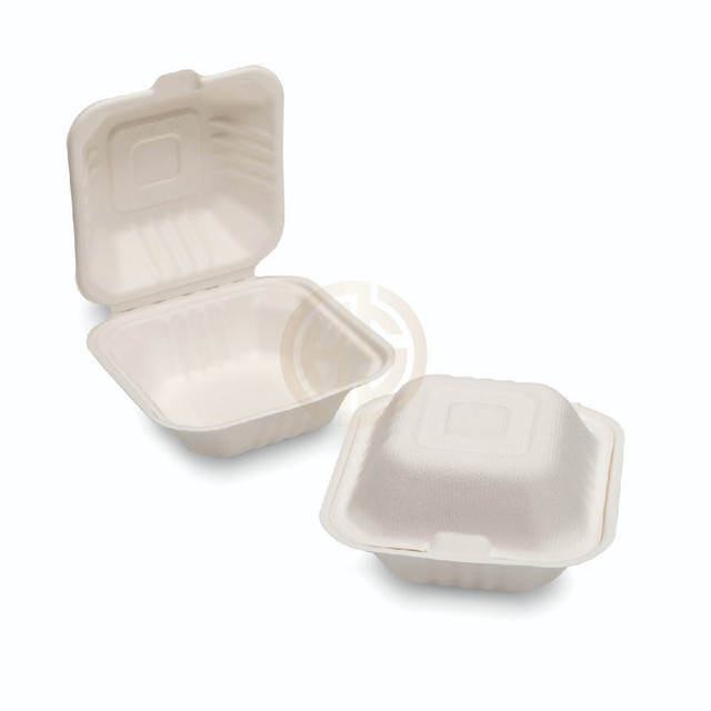 Bagasse_Burger_Box_HP6__17964